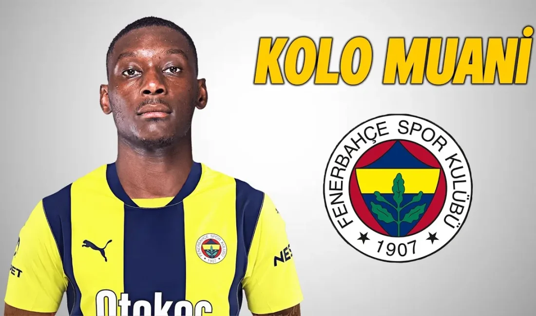 Fenerbahçe, Jose Mourinho yönetiminde şampiyonluk hedefi doğrultusunda transferde büyük oynuyor.
