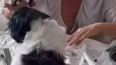 Hülya Avşar, hem müzik hem de dijital içerik üretimiyle sanat