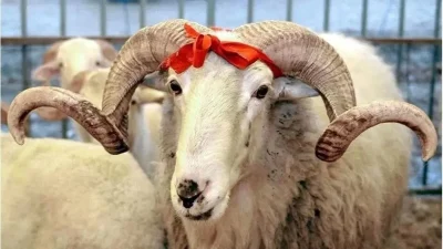 Kültür ve Turizm Bakanı Mehmet Nuri Ersoy, Manisa'da düzenlenen Türkiye