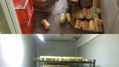 Sakarya'nın Pamukova ilçesinde yapılan operasyonda, tarihi geçmiş 5 ton kaşar