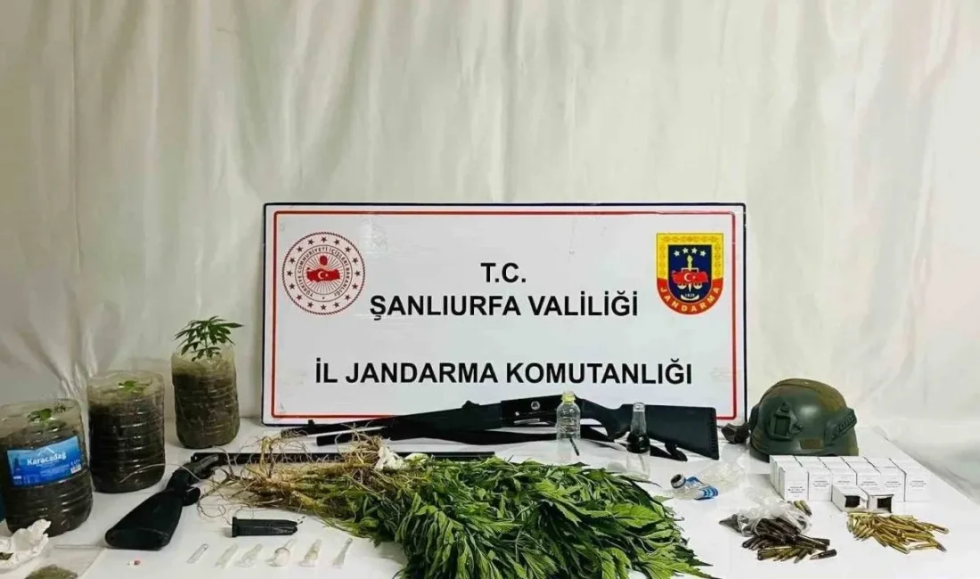 Şanlıurfa’nın Siverek ilçesinde, uyuşturucu madde kullanan ve satan şahıslara yönelik
