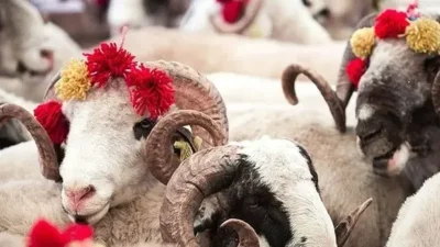 Kurban Bayramı tatili 2025'te kamuda 5 Haziran öğleden sonra başlayıp,