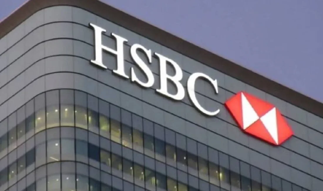 Uluslararası finans kuruluşu HSBC, Türkiye ekonomisine ilişkin yayınladığı 23 Mayıs