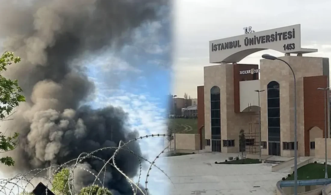 Avcılar’daki İstanbul Üniversitesi-Cerrahpaşa kampüsünde, Veterinerlik Fakültesi inşaatının deposunda bilinmeyen bir