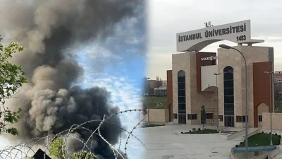 Avcılar’daki İstanbul Üniversitesi-Cerrahpaşa kampüsünde, Veterinerlik Fakültesi inşaatının deposunda bilinmeyen bir