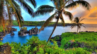 Hawaii Valisi Josh Green, iklim değişikliğiyle mücadele kapsamında otellere uygulanan