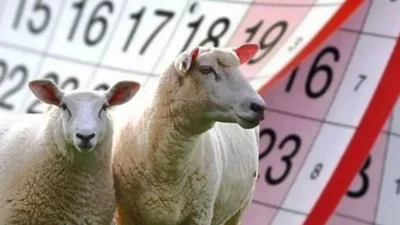 Türk Eğitim-Sen Genel Başkanı Talip Geylan, Kurban Bayramı arife gününün