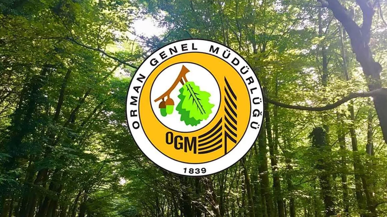 OGM KPSS’siz İşçi Alımı Yapıyor! Orman Genel Müdürlüğü 63 Personel Alımı Fırsatı