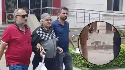 Manisa Turgutlu’da evinin önünü kirlettiği gerekçesiyle sokak kedisini pompalı tüfekle