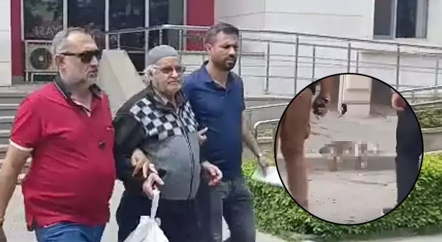Manisa Turgutlu’da evinin önünü kirlettiği gerekçesiyle sokak kedisini pompalı tüfekle