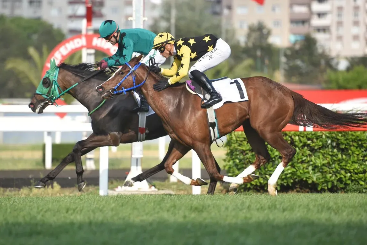 Gazi Koşusu saat kaçta? 29 Haziran 2025'te Veliefendi Hipodromu'nda! Tay