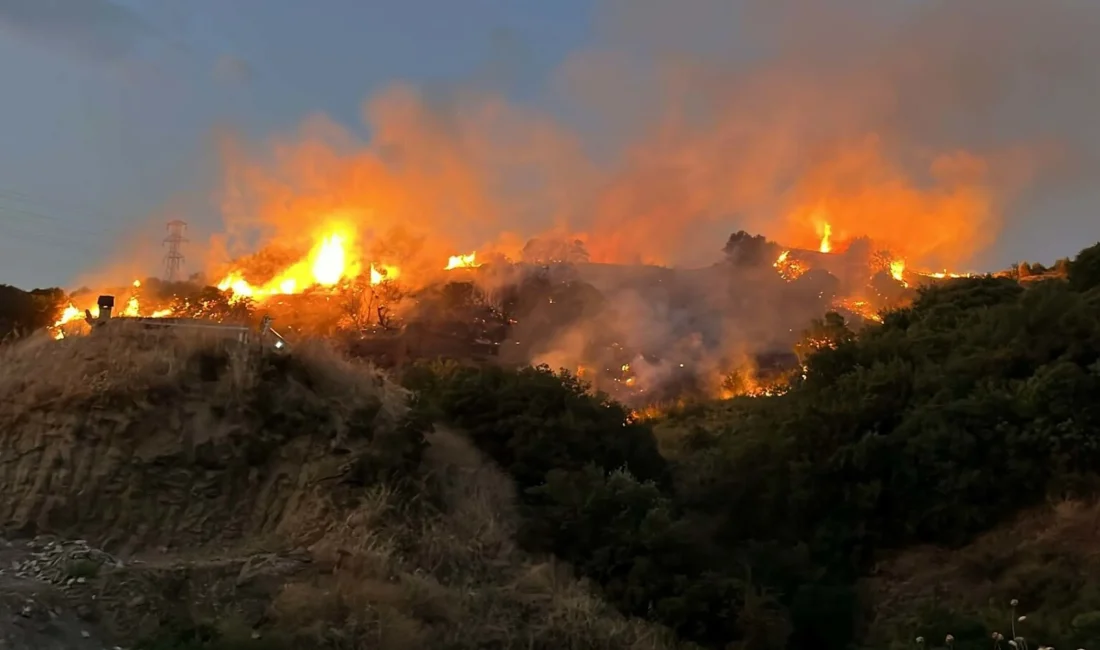 Bodrum yangını söndürüldü mü? 30 Temmuz’da Ortakent’te başlayan yangın kontrol