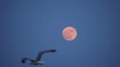 Haziran’ın büyüsü gökyüzünde: Çilek dolunayı nedir, ne zaman görülür, nasıl