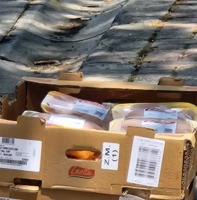 İzmir’de bir zincir market şubesinde, soğuk zincirde taşınması gereken tavuklar