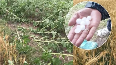 Edirne'de dolu yağışı etkili oluyor. Yetkililer incelemelerde bulundu..
