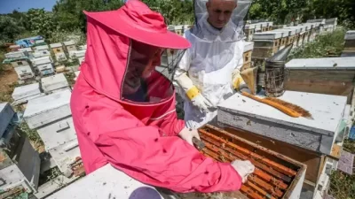 Bursa’da otomobil fabrikasında çalışırken arıcılıkla tanışan dört arkadaş, işleri bırakıp