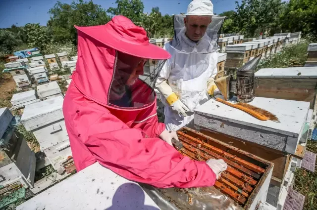 Bursa’da otomobil fabrikasında çalışırken arıcılıkla tanışan dört arkadaş, işleri bırakıp