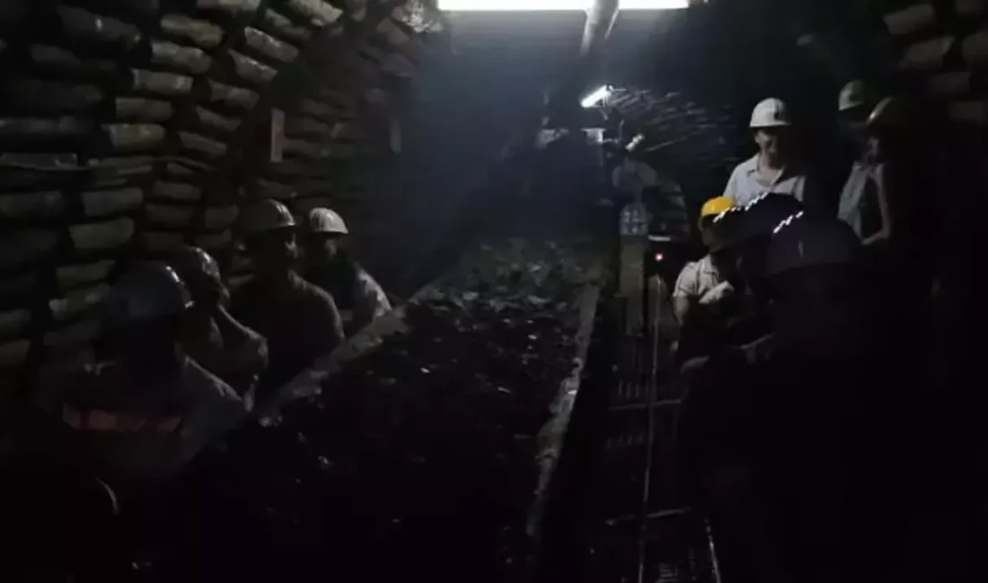 Bülent Ecevit Üniversitesi (BEÜN) Geomatik Mühendisliği Öğretim Üyesi Prof. Dr.