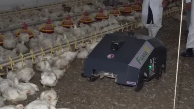 Çanakkale Onsekiz Mart Üniversitesi (ÇOMÜ) akademisyenleri kümes hayvanlarına yönelik yeni