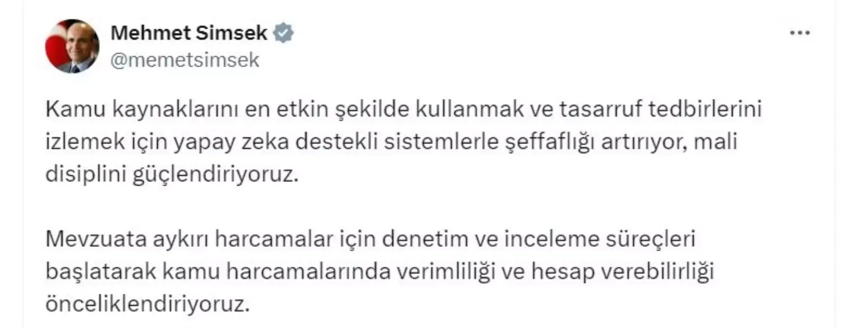 mehmet-sımsek-yapay-zeka