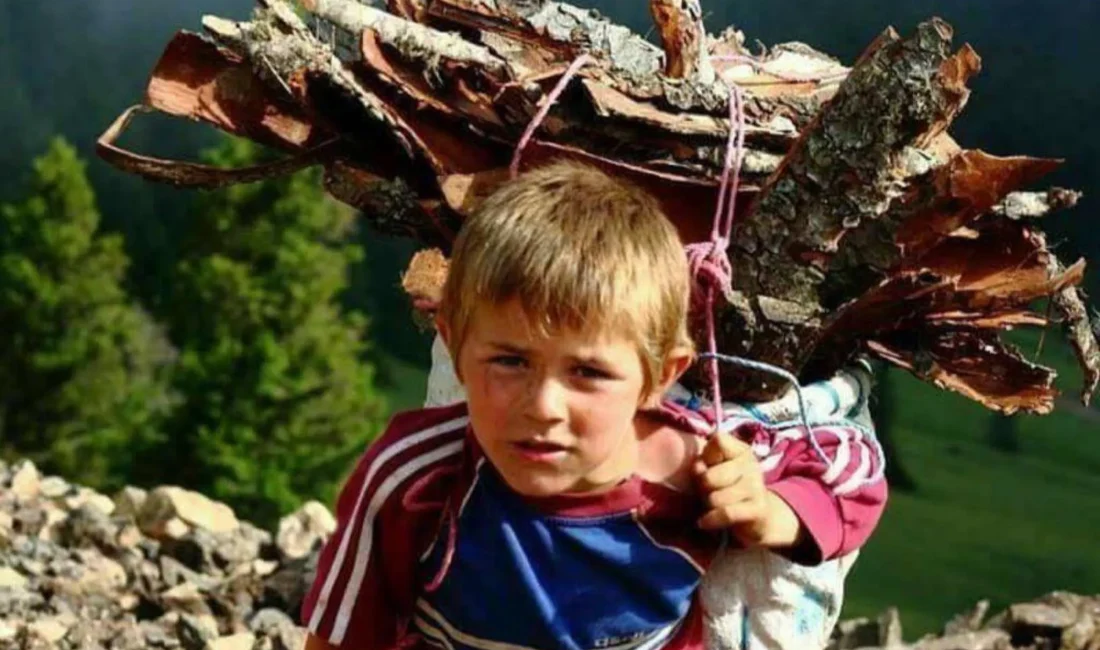 Eren Bülbül kimdir? sorusu, her yıl yeniden gündeme geliyor. Vatan