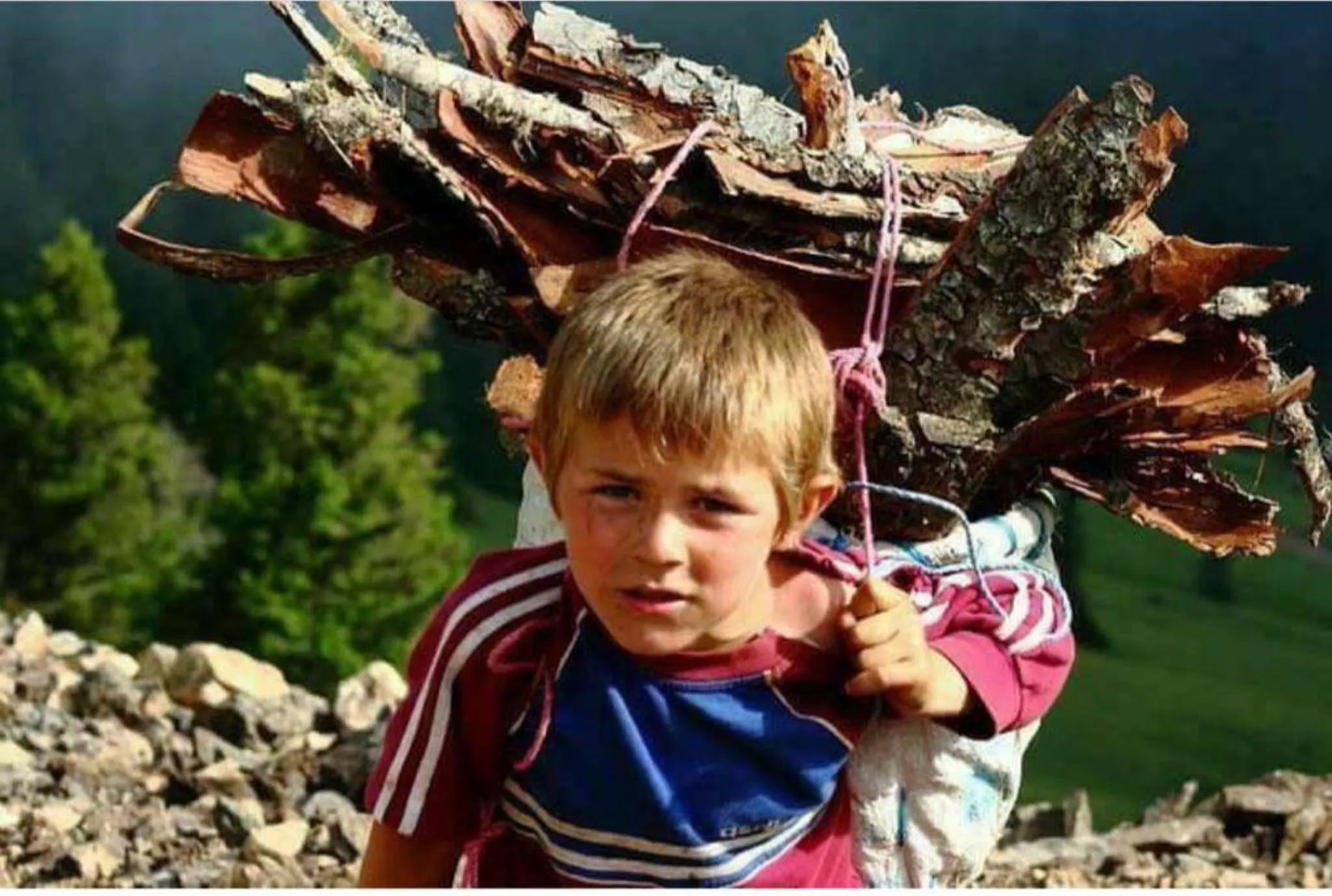 Eren Bülbül kimdir? sorusu, her yıl yeniden gündeme geliyor. Vatan