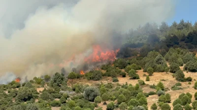 Manisa yangını söndürüldü mü? Akhisar’da günlerdir süren orman yangınıyla ilgili