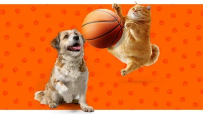 A Milli Kadın ve Erkek Basketbol Takımları, FIBA 2025 Avrupa