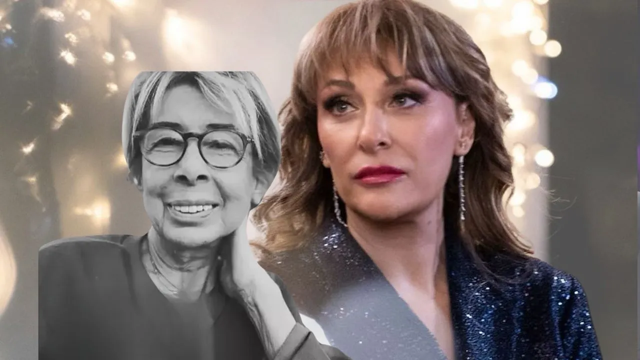 Sevgi Birsel ile Gülse Birsel Kardeş mi? Sevgi Birsel kimdir, nereli öldü mü, neden öldü?