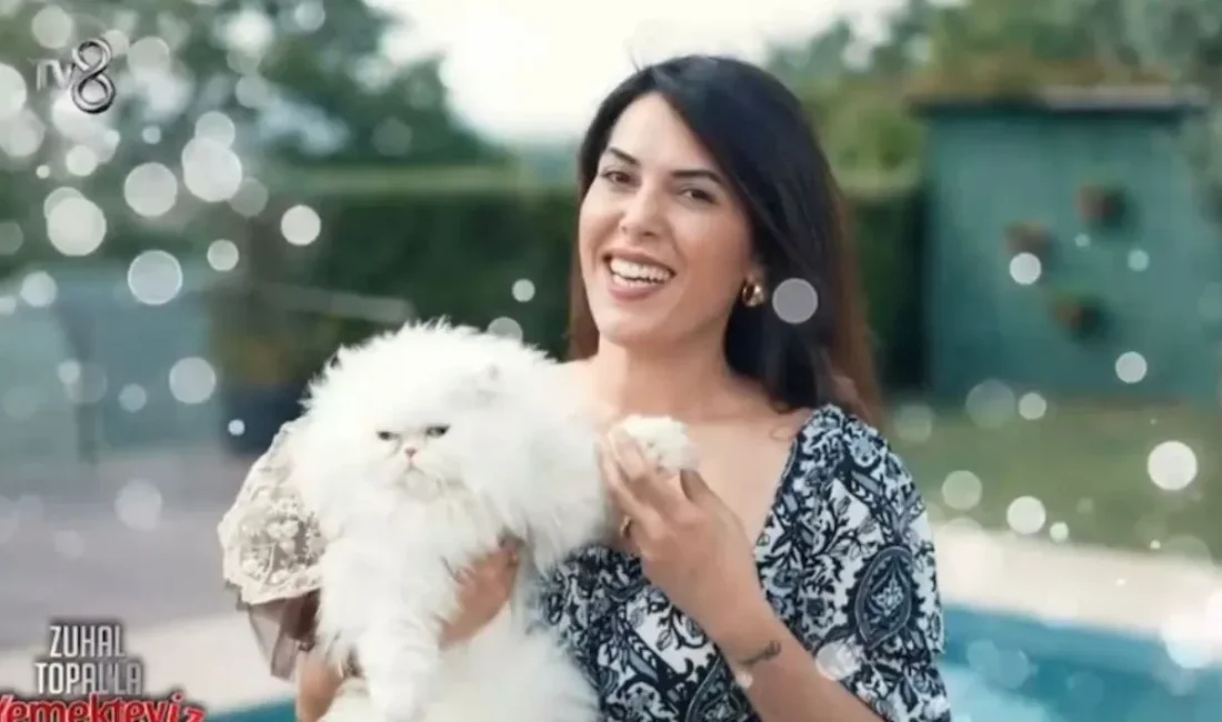 Yemekteyiz Asel Çukuryayla kimdir? 35 yaşındaki Erzurumlu yarışmacının hayatı, kedileri