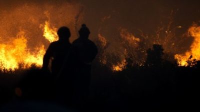 Antalya Muratpaşa’da çıkan orman yangını neden oldu? Yangının çıkış nedeni,