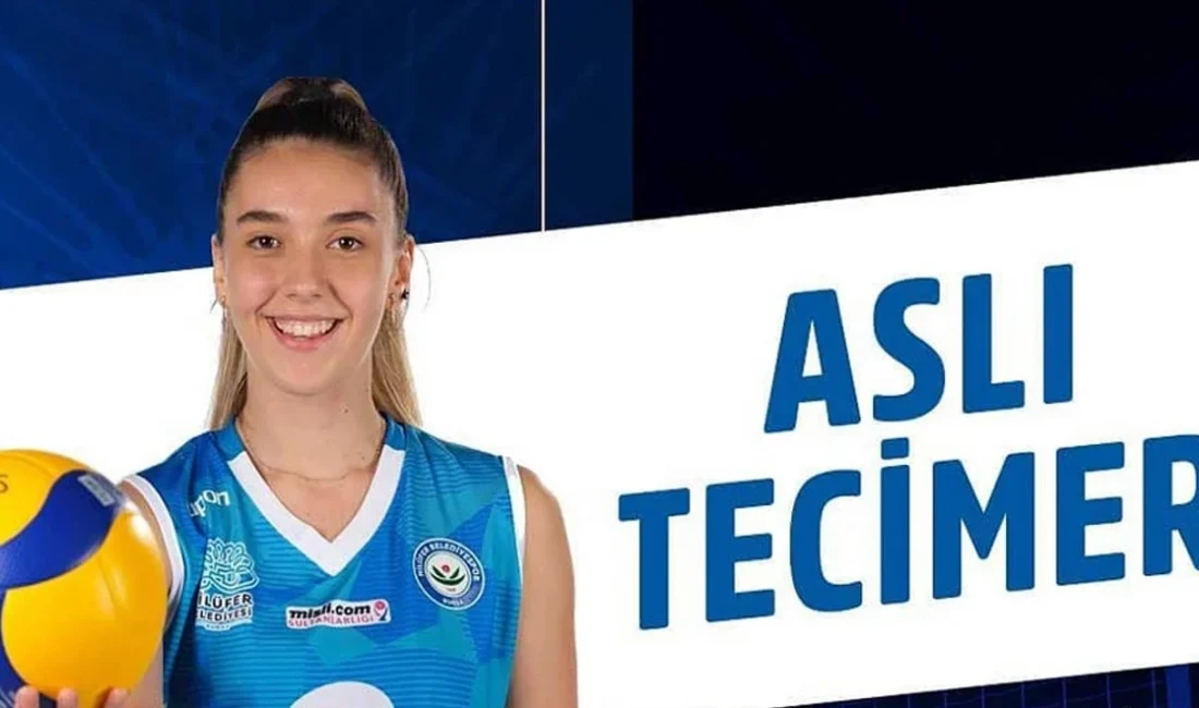 Aslı Tecimer kimdir, hangi kulüplerden transfer oldu, Galatasaray Daikin ile