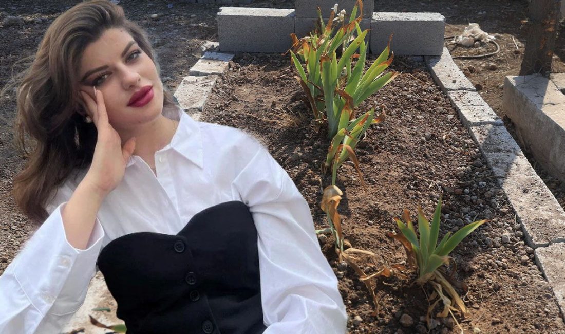 Ayşe Tokyaz cinayetinde yeni görüntüler ortaya çıktı. İstanbul'da valizde cesedi