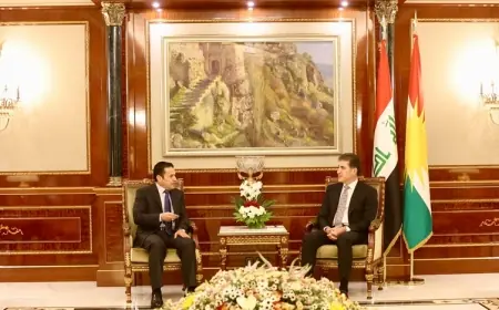 DEM Parti, Selahattin Demirtaş ve Kobani davası tutuklularının AİHM kararları