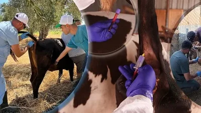 Tarım ve Orman Bakanlığı Gıda ve Kontrol Genel Müdürlüğü, ülke