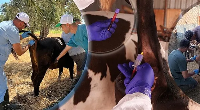Tarım ve Orman Bakanlığı Gıda ve Kontrol Genel Müdürlüğü, ülke