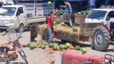 Sakarya'nın Geyve ilçesine bağlı Safibey Ürün Toplama Merkezi'nde 13 Temmuz