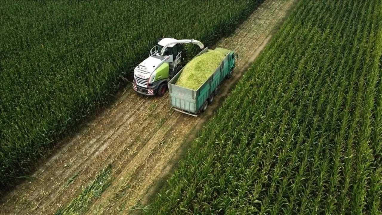 
Türkiye İstatistik Kurumu (TÜİK) verilerine göre, Tarım Ürünleri Üretici Fiyat