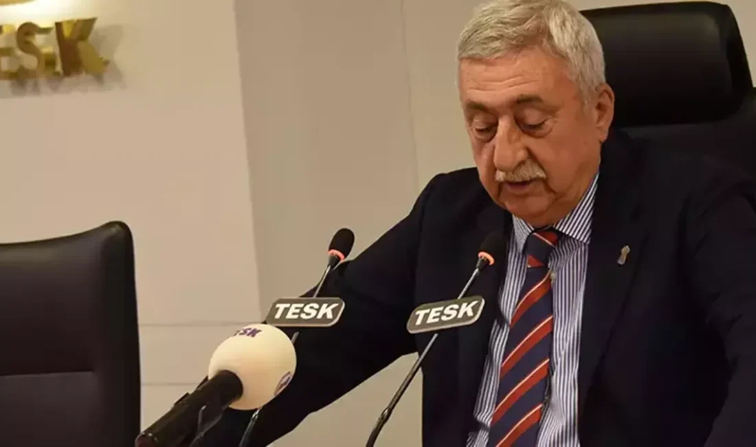 TESK Genel Başkanı Palandöken, yurt dışında yaşayan Türk vatandaşlarının yaz