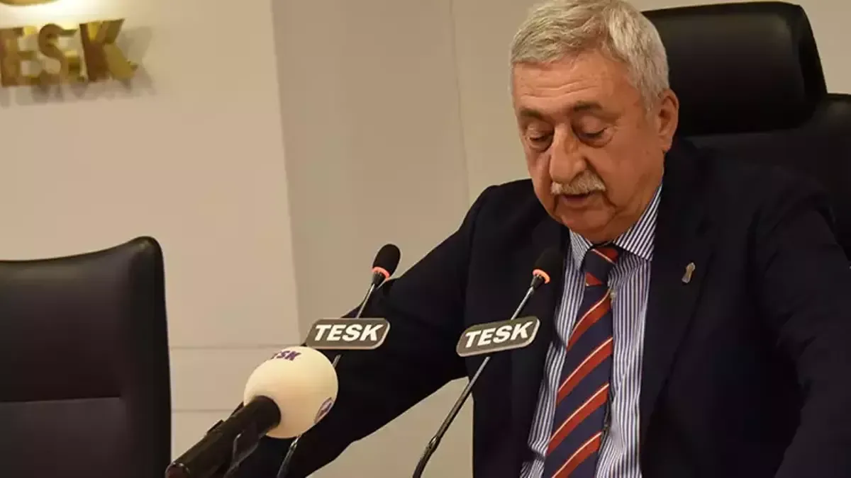 TESK Genel Başkanı Palandöken, yurt dışında yaşayan Türk vatandaşlarının yaz