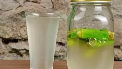 Son dönemlerde doğal yöntemlerle kilo vermek isteyenlerin ilgisini çeken bamya