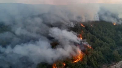 Her yıl yaz aylarında Ege ve Akdeniz kıyılarında çıkan orman