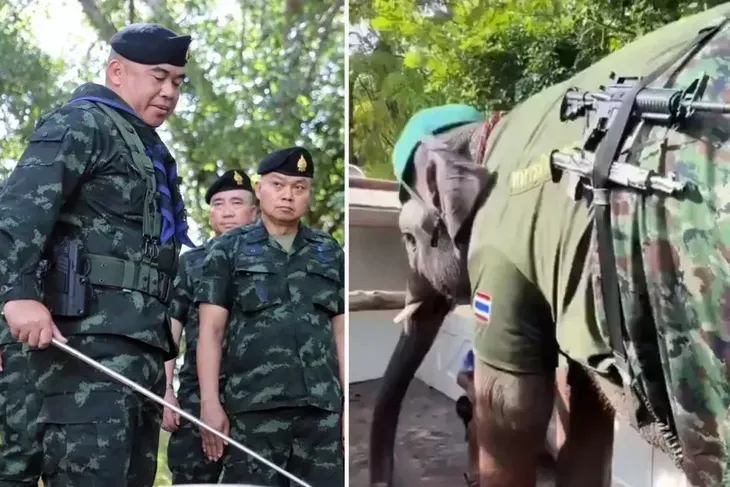 Tayland ile Kamboçya arasında 24 Temmuz’da başlayan sınır çatışmaları 3.