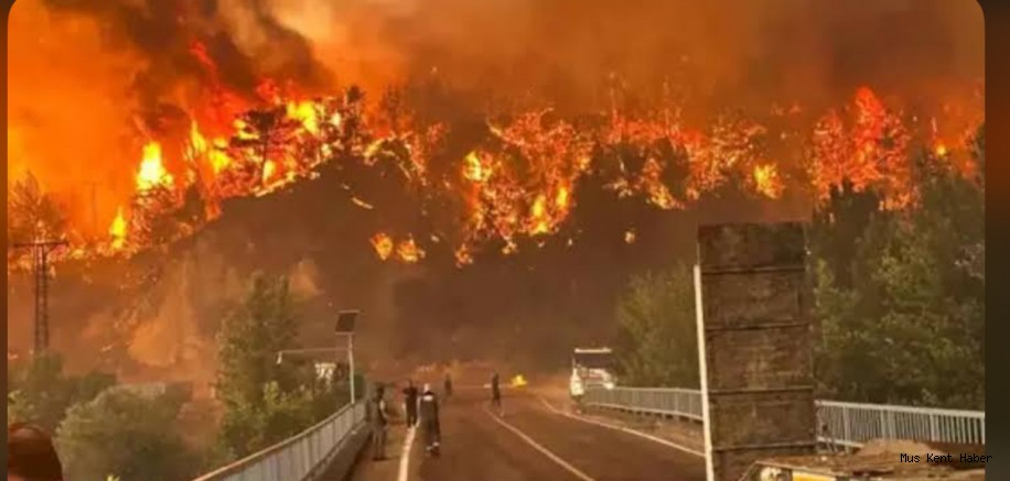 Eskişehir orman yangını faciasında 5’i orman işçisi, 5’i AKUT gönüllüsü