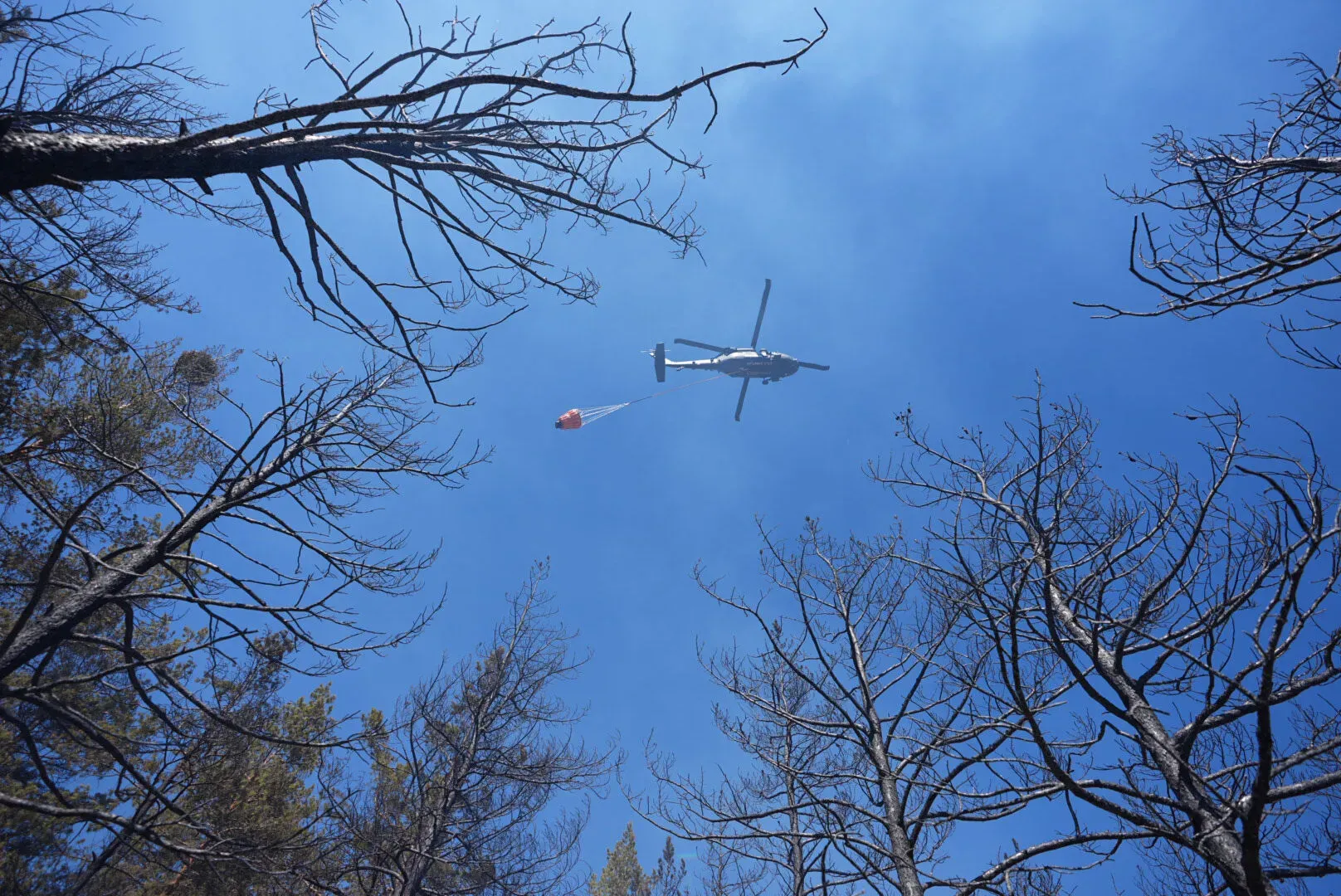 Eymir Gölü yangını söndürüldü mü? Ankara’daki son dakika yangın gelişmeleri,