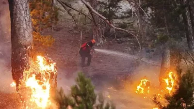 Antalya, Mersin ve Muğla’da çıkan orman yangınlarına hem havadan hem