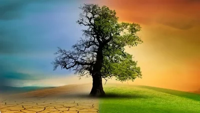 İklim Kanunu nedir, meclisten geçti mi, neleri kapsıyor? Türkiye'nin iklim