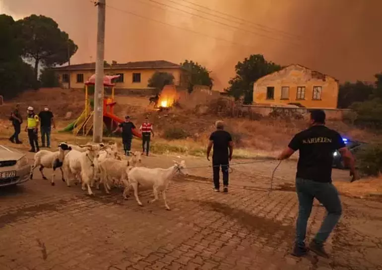 İzmir’de Orman Yangını Felaketi! Evler Yandı, Mahalleler Tahliye Edildi