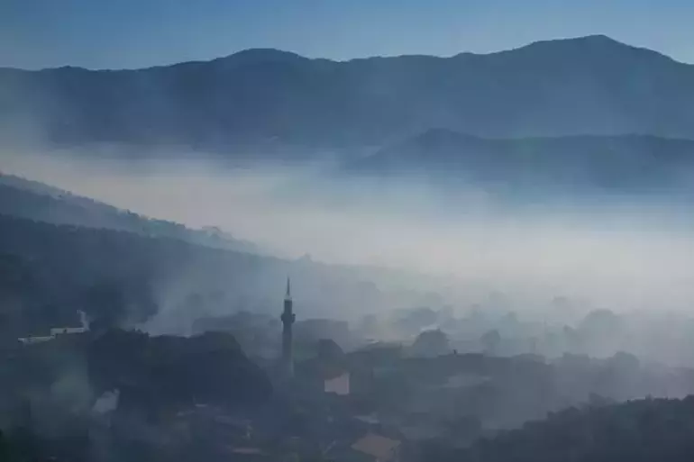 İzmir’de Orman Yangını Felaketi! Evler Yandı, Mahalleler Tahliye Edildi
