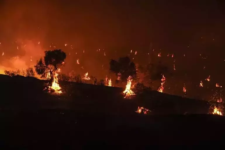 İzmir’de Buca, Ödemiş ve Çeşme’de çıkan orman yangınları yerleşim yerlerine